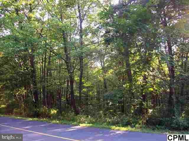 2 Cook Rd, Duncannon, PA 17020 - photo 1