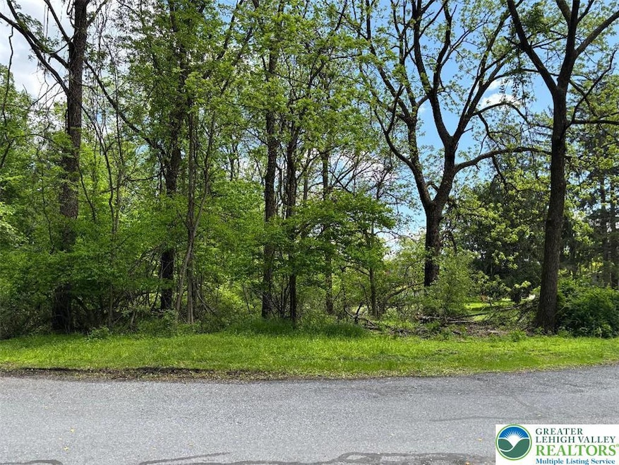 0 1st St unit 753593, Portland, PA 18351 - photo 1