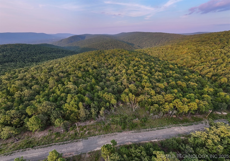 7 Moonshine Dr, Clayton, OK 74536 - photo 1