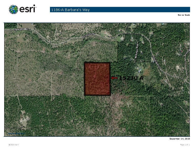 1214 Barbara's Way, Kila, MT 59920 - photo 1