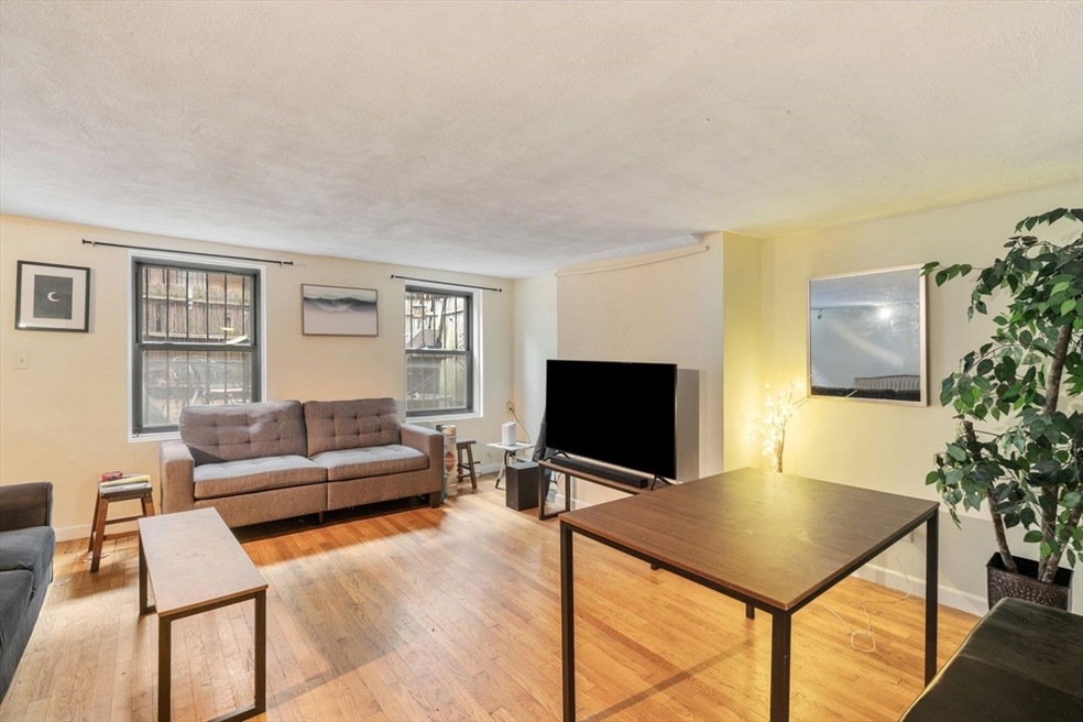 182 W Brookline St unit 1, Boston, MA 02118 - photo 1