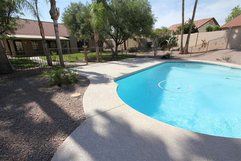 Back Yard 1