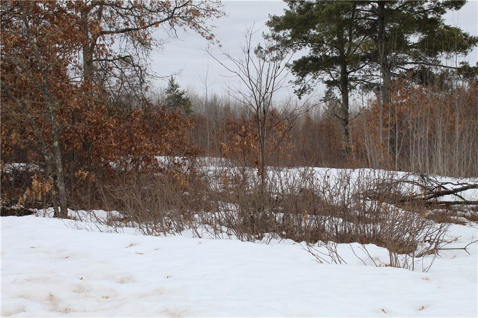 0 W Minerva Dam Rd unit 1539971, Swiss, WI 54830 - photo 1