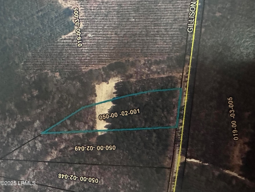 Tbd Gillison Branch Rd, Ridgeland, SC 29936 - photo 1