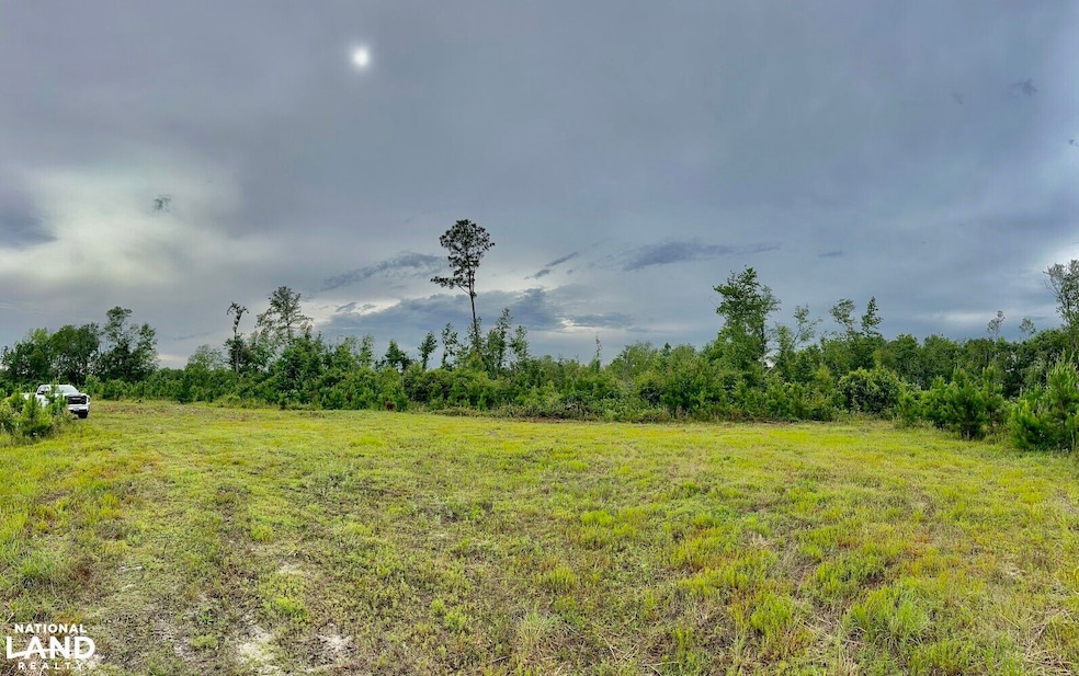 0 Bennett Colter Rd unit 25767774, Rentz, GA 31075 - photo 1