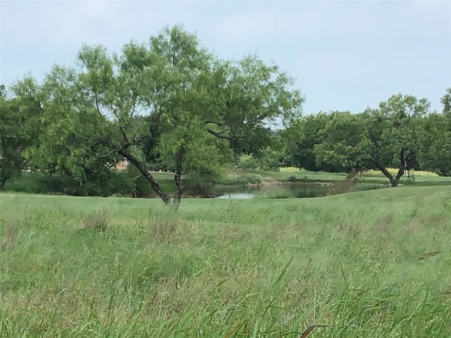 27188 Whispering Meadow, Whitney, TX 76692 - photo 1