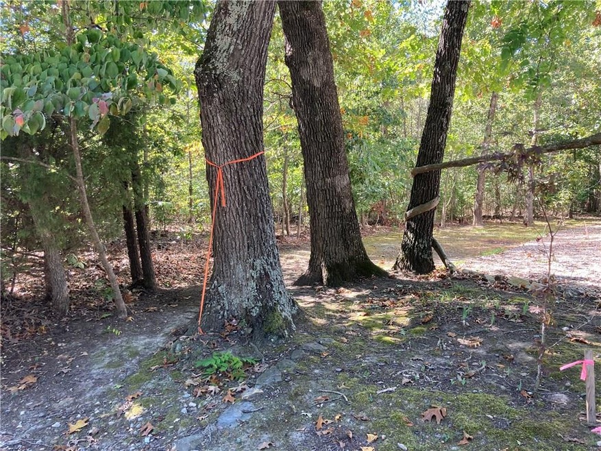 0 Dulverton Dr, Bella Vista, AR 72715 - photo 1