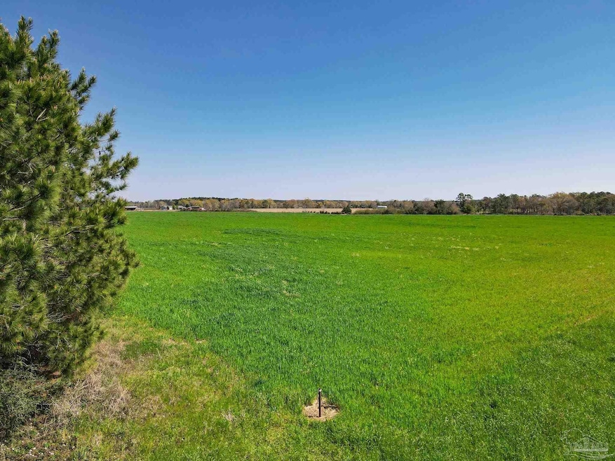 5872 S State Hwy 99, McDavid, FL 32568 - photo 1