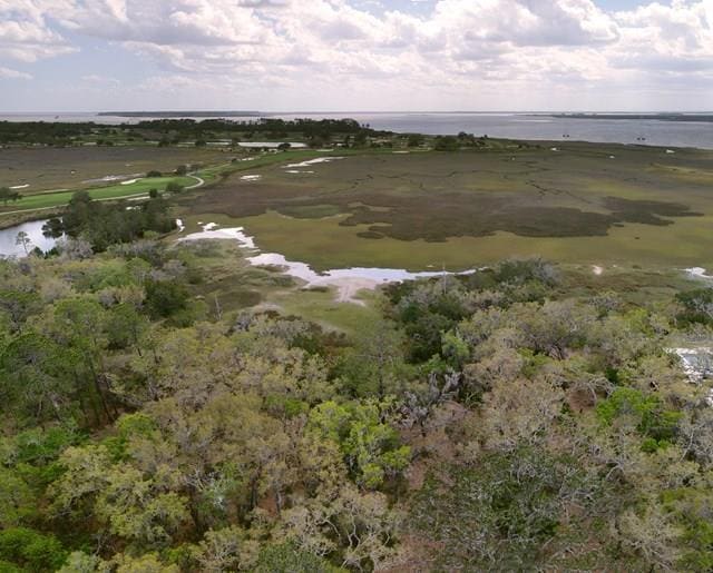 154 Point Ln, St. Simons Island, GA 31522 - photo 1