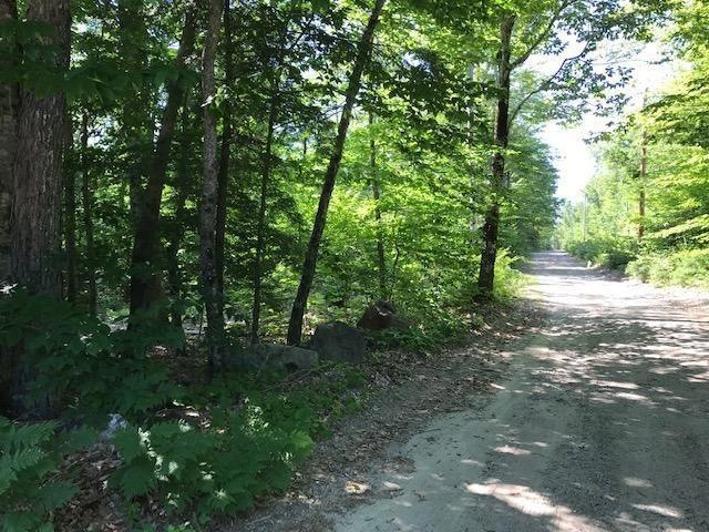 0000 Pequawket Trail, Baldwin, ME 04091 - photo 1
