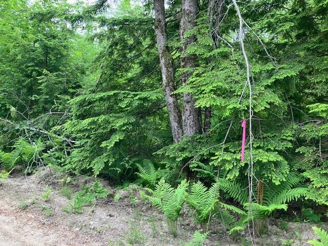 Sold $125,000 • Co-Listing Agent