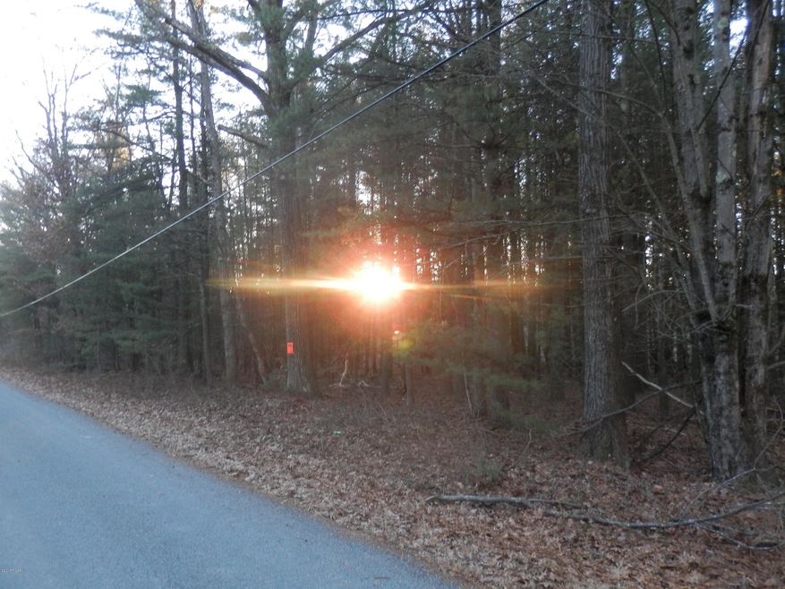 0 Cricket Hill Rd, Berlin Township, PA 18428 - photo 1