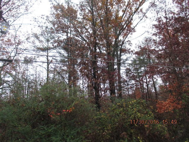 Akins Rd 001