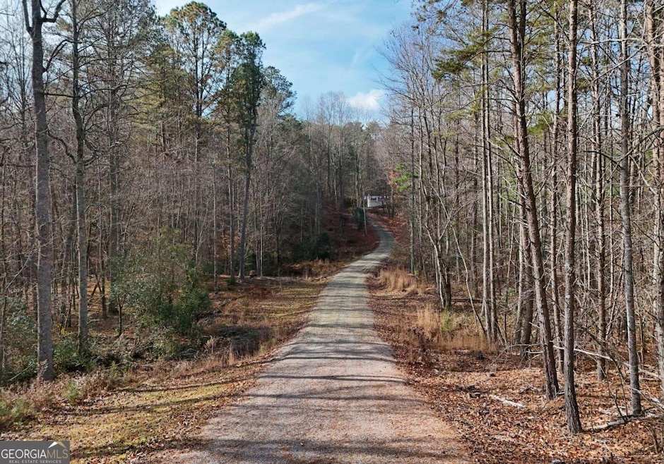 232 Possum Trot Rd, Blairsville, GA 30512 - photo 1