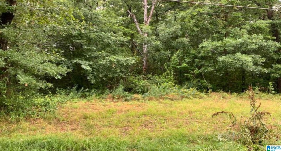 0 14th St unit Various 21431353, Calera, AL 35040 - photo 1