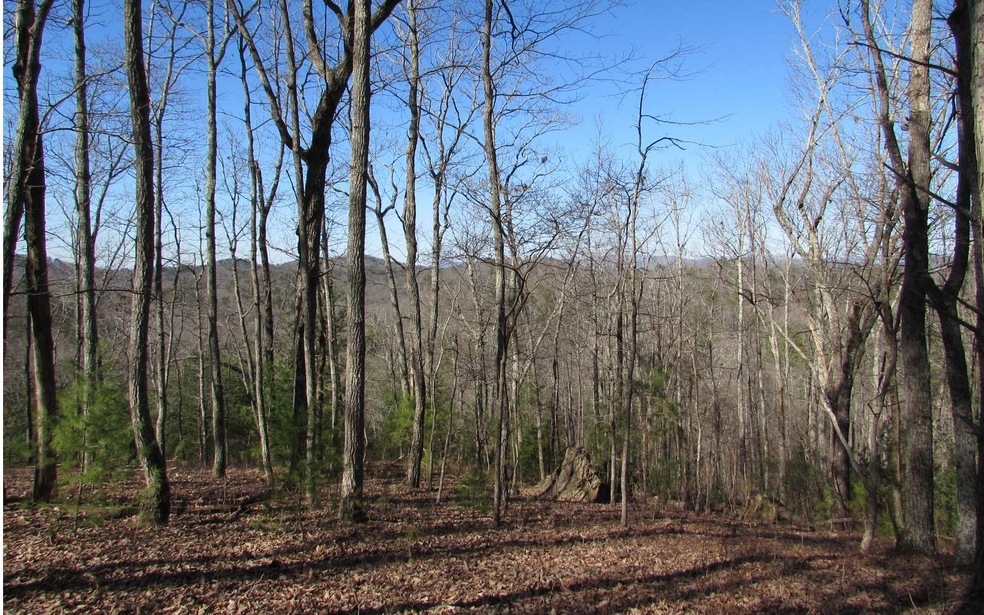 976 NE Raccoon Ridge Rd, Ranger, GA 30734 - photo 1