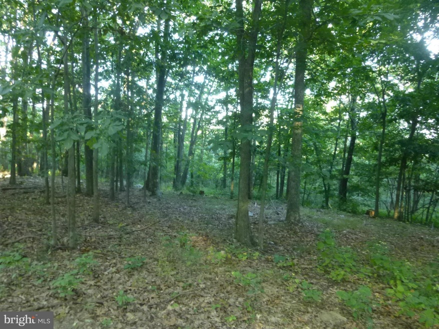 42 A Big Timber Dr, Whitacre, VA 22625 - photo 1