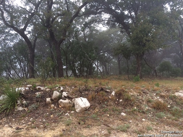 14111 Panther Valley, Helotes, TX 78023 - photo 1