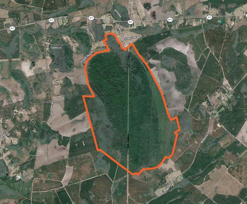 PigeonPond