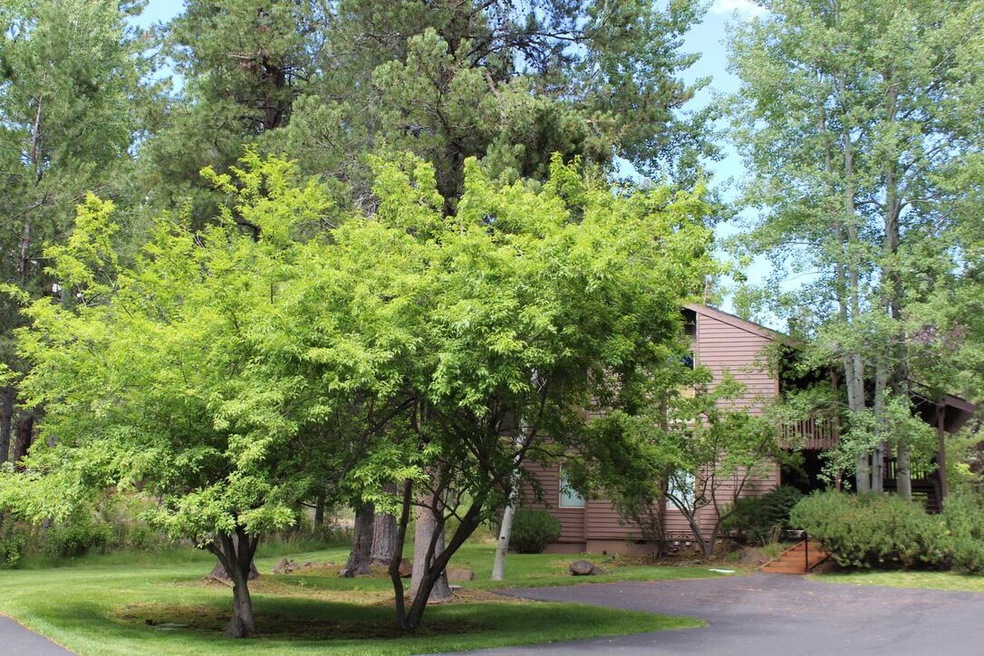 1-R19