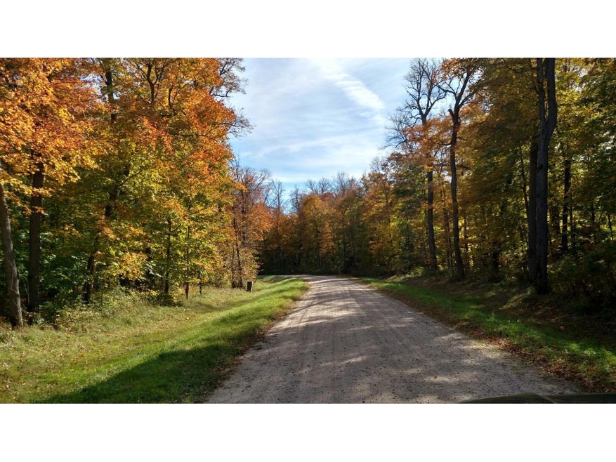 Bright Fall colors from the Maples and Oaks!