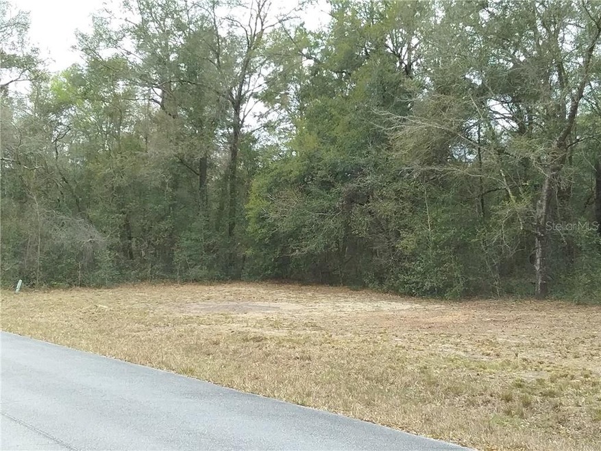 South/Front side of lot