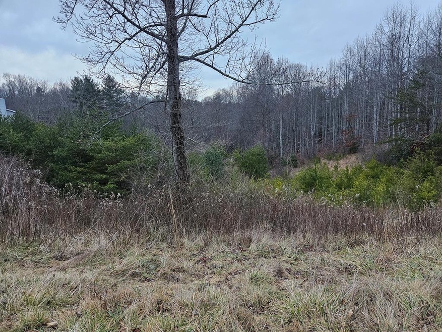 TBD Ridge Rd, Austinville, VA 24312 MLS 92971