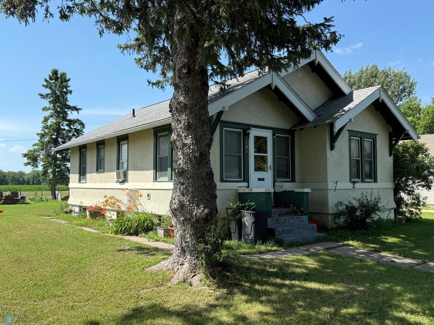 309 W 4th Ave S, Ada, MN 56510 - photo 1