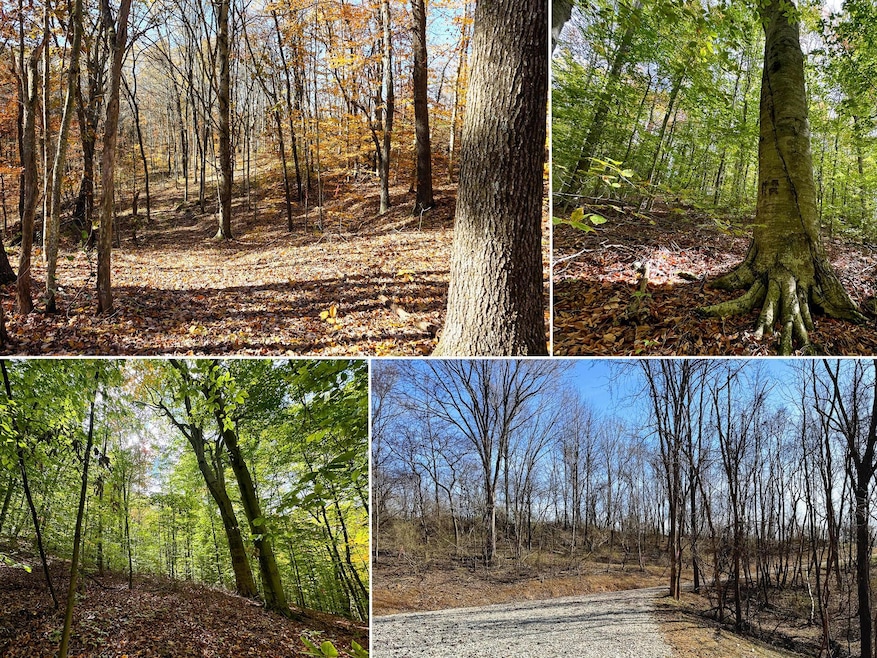 7447 Township Road 215a unit (Tract 6 at Shawnee, Corning, OH 43730 - photo 1