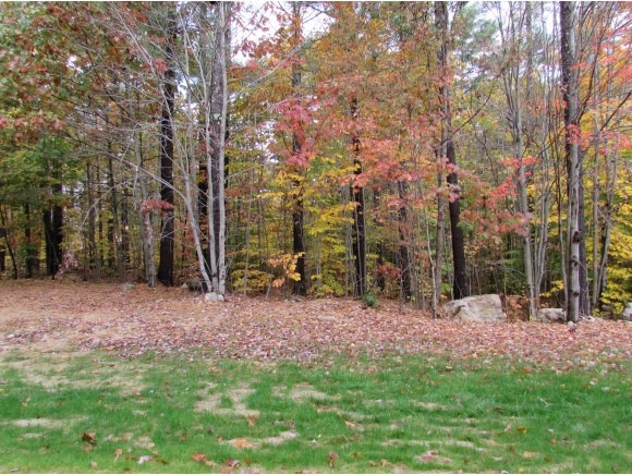 Lot 90-3 River St, Wolfeboro, NH 03896 - photo 1