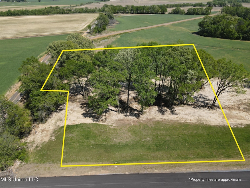 13 Como Trace Dr, Senatobia, MS 38668 - photo 1