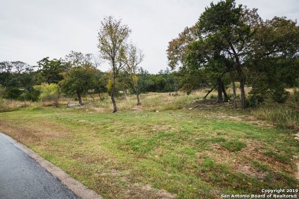 8811 Falcon Place, San Antonio, TX 78256 - photo 1