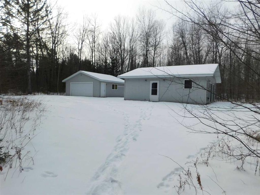 10752 4 Mile Dr, Tripoli, WI 54564 - photo 1