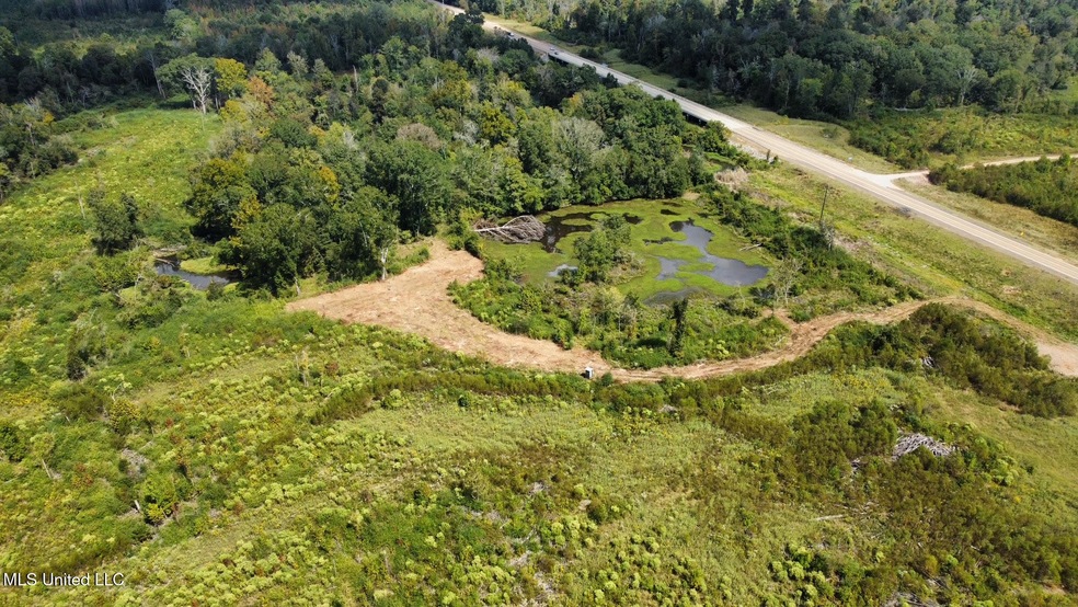 0 Highway 35 unit 4126739, Walnut Grove, MS 39189 - photo 1