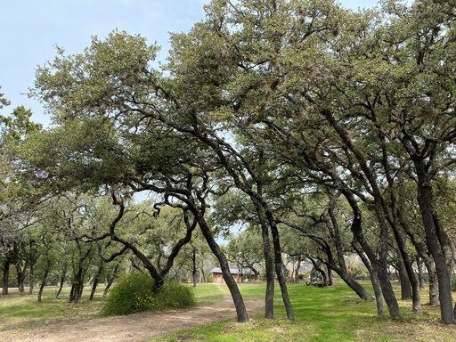 128 Ridgewood Dr unit 15, Fredericksburg, TX 78624 - photo 1