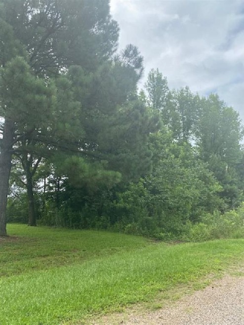 Lot 32 Heather Dr, Texarkana, TX 75501 - photo 1