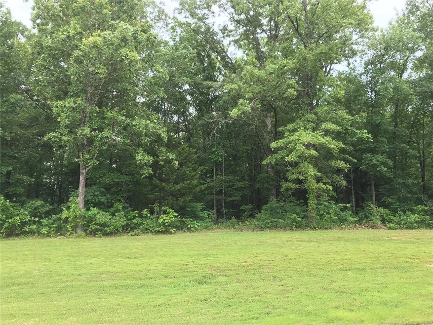 0 Benelli Ln, Epps Township, MO 63901 - photo 1