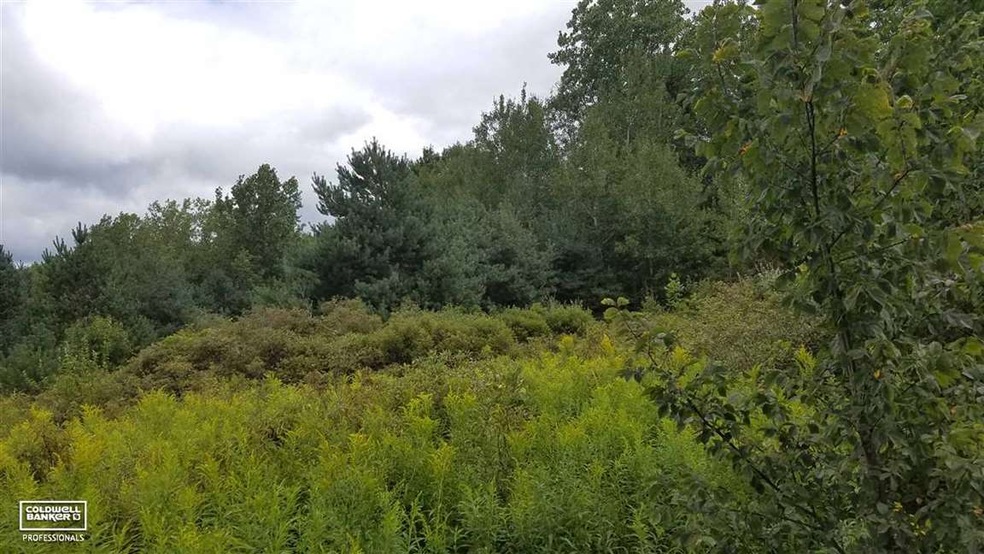 This is a view of the property.