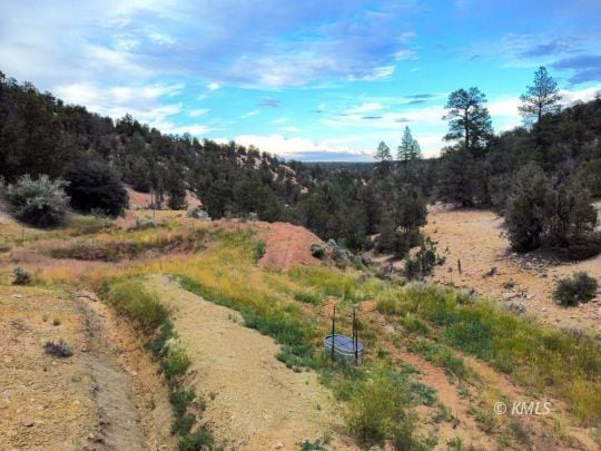 East Canyon View