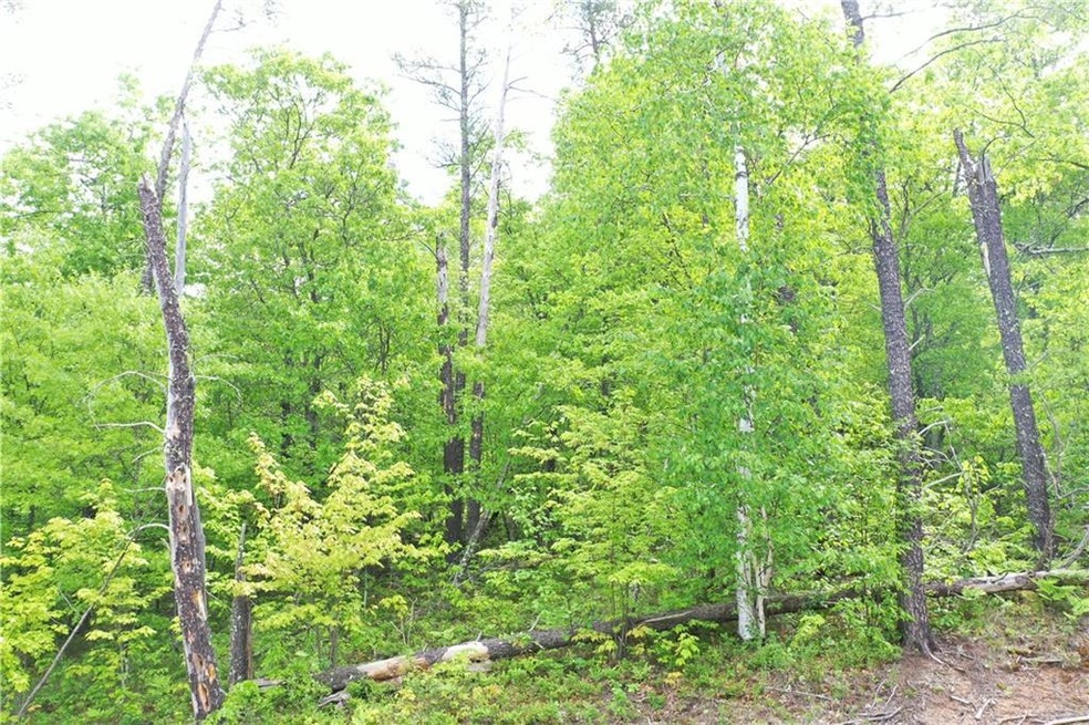 0 Otis Rd, Oakland, WI 54830 - photo 1