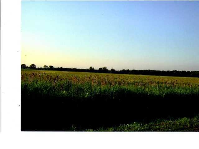 Primary Photo