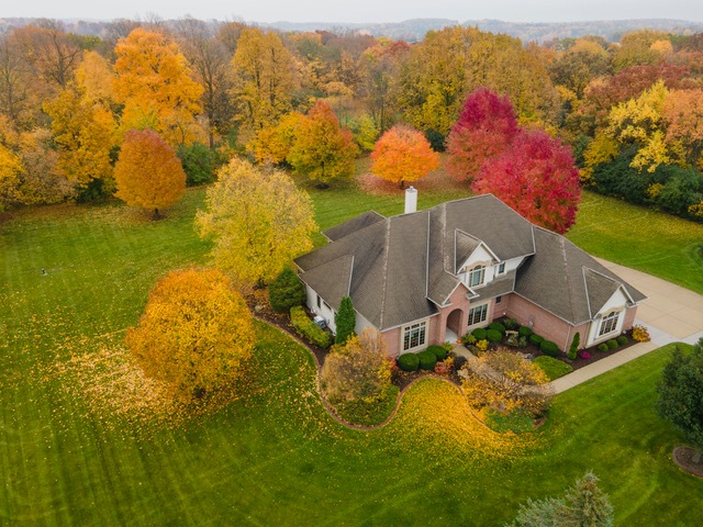 Fall Colors