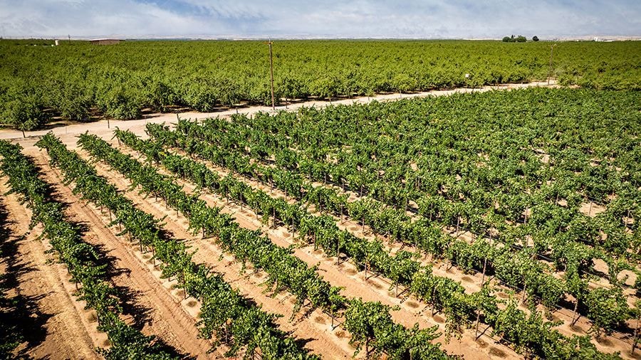 5648 N Montpelier Rd, Denair, CA 95316 - photo 1