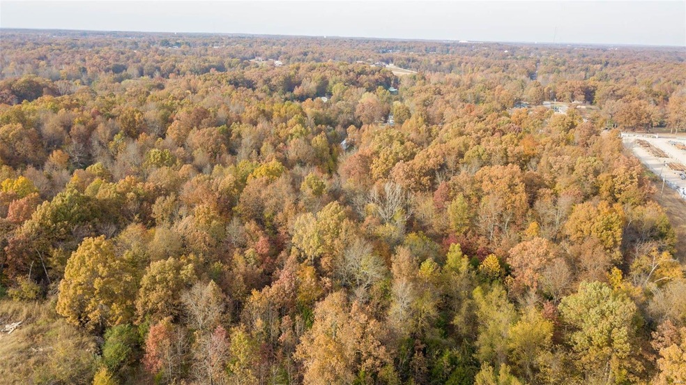 0South of County Road 468, Poplar Bluff, MO 63901 - photo 1