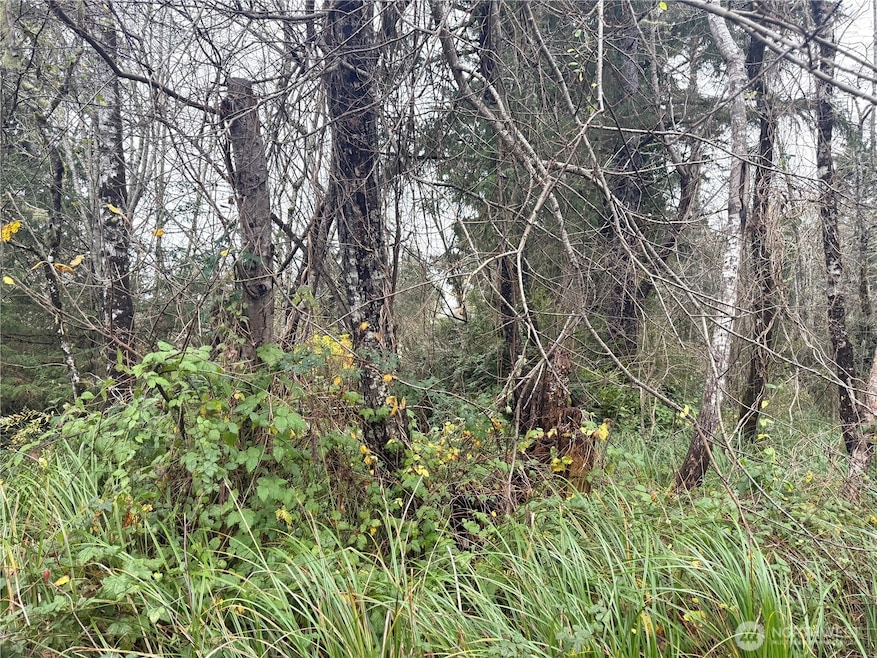 294 XX S Ln, Ocean Park, WA 98640 - photo 1