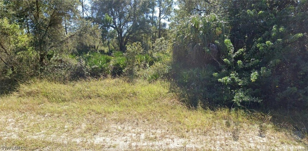 2412 Mabry St, Alva, FL 33920 - photo 1