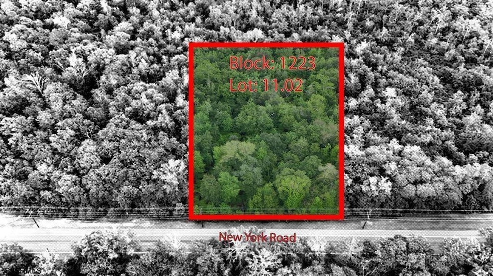 B:1223/L:11.02 N New York Rd, Galloway Township, NJ 08205 - photo 1