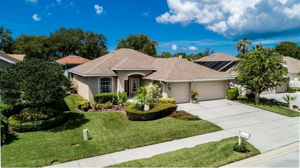 4913 West Breeze Cir. Palm Harbor Pool home with 3