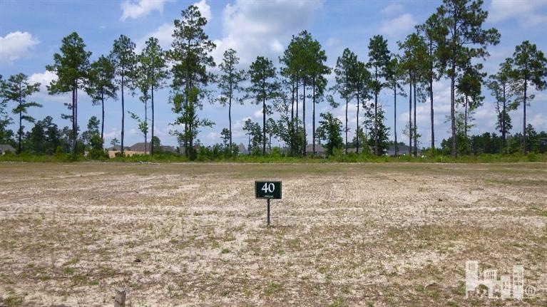 1285 Cross Water Cir, Leland, NC 28451 - photo 1