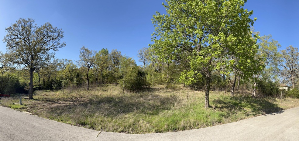 131 Oregon Ln, Ruth B Rural Township, MO 65686 - photo 1